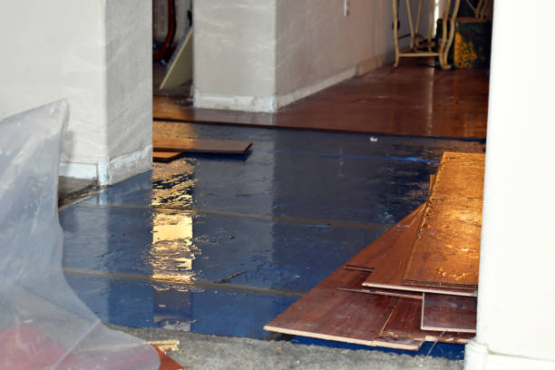 Professional Sewage Cleanup technician working in Lincoln, NH